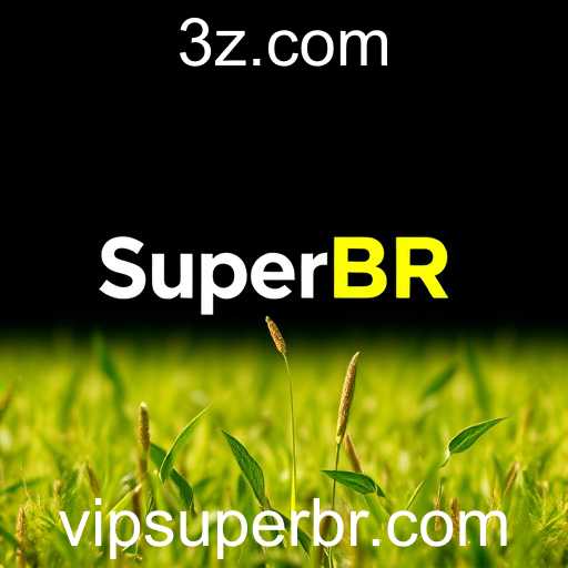 Impactos do SuperBR na Economia Brasileira Atual